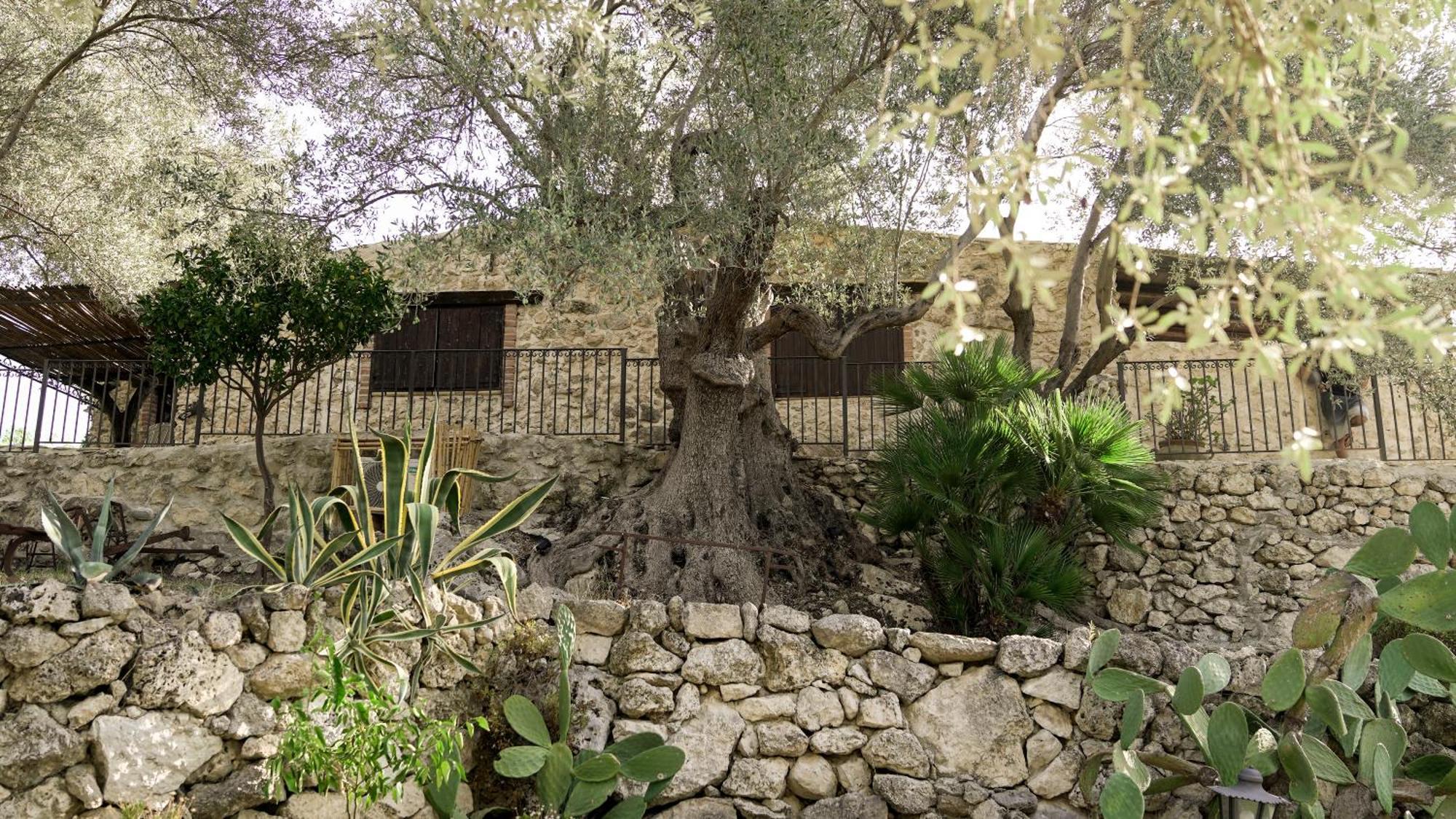 Bed and Breakfast Roba Degli Ulivi Agrigento Zewnętrze zdjęcie