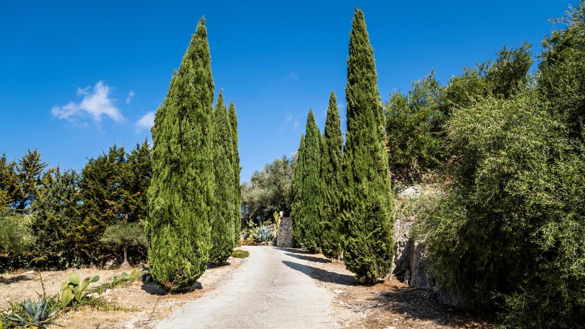 Bed and Breakfast Roba Degli Ulivi Agrigento Zewnętrze zdjęcie