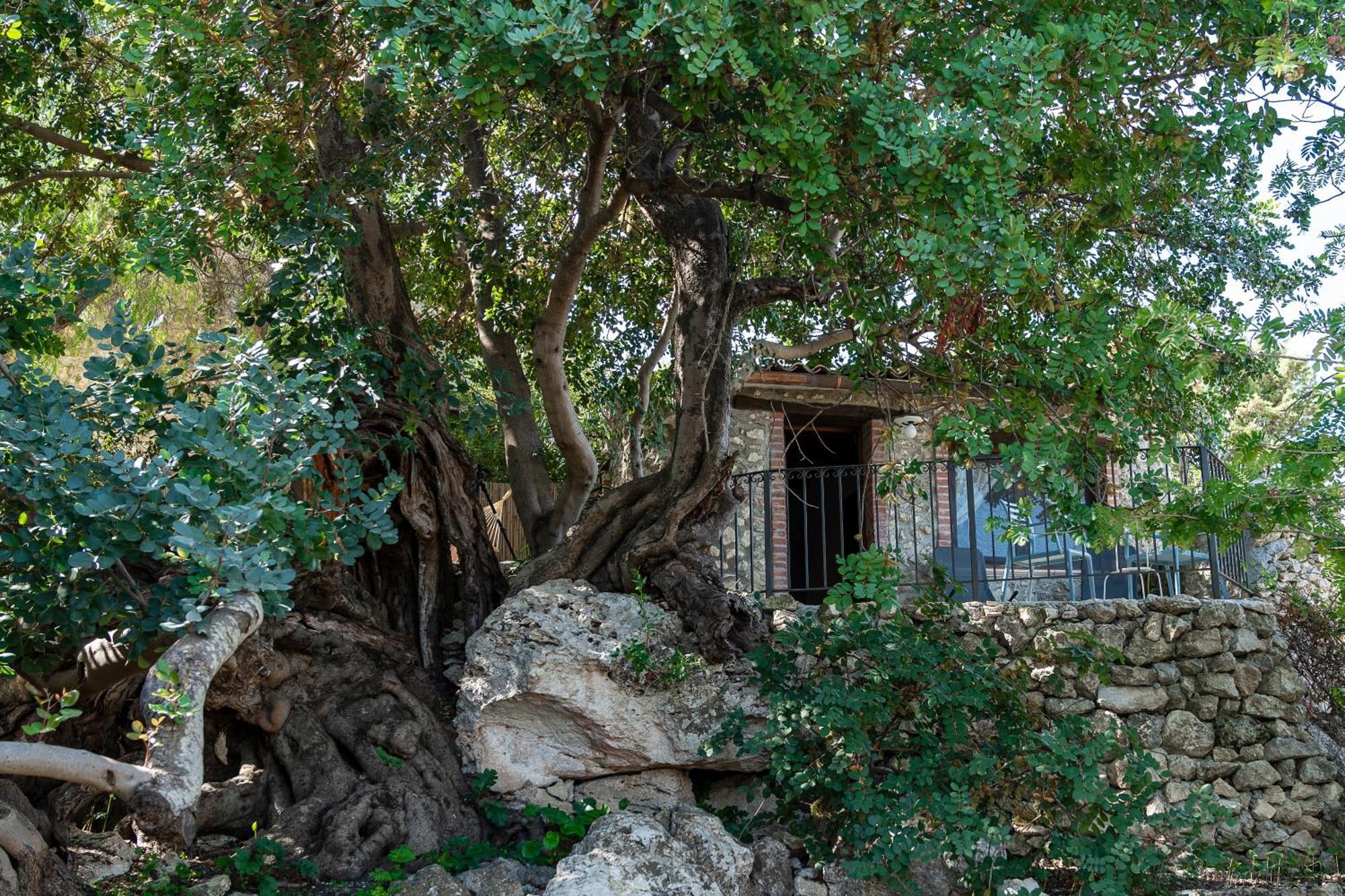 Bed and Breakfast Roba Degli Ulivi Agrigento Zewnętrze zdjęcie